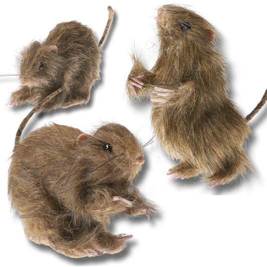 Prextex Realistic Furry Fake Rats for Best Halloween Decoration: Halloween Fake Rats Realistic Rats Halloween Trick Toys Decoration Party Props etc.